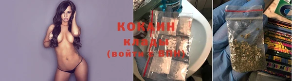 прущая мука Бородино