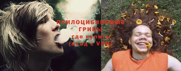 МДПВ Бронницы