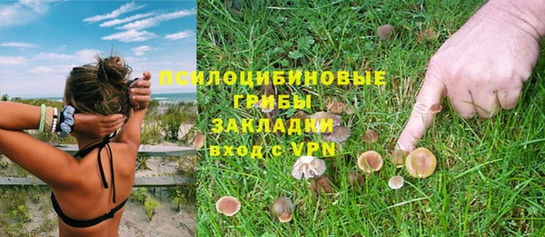 МДПВ Бронницы
