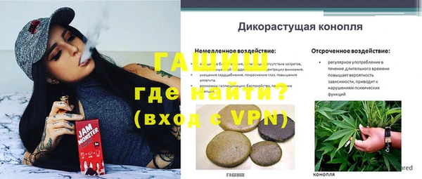 прущая мука Бородино